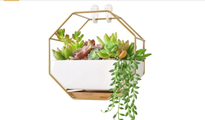 A Guide to Creating Artificial Succulent Terrariums